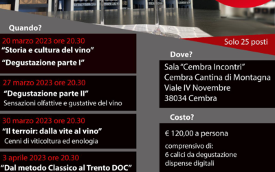 Cantina di La – Vis // Special Edition Corso di avvicinamento al vino